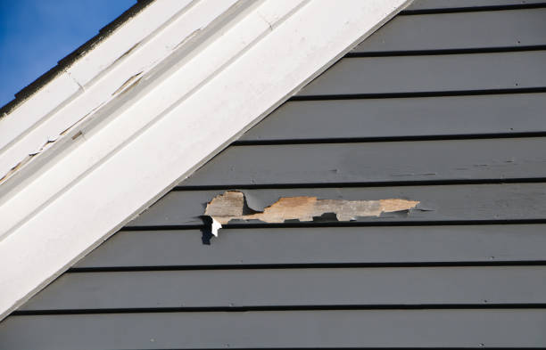 Best Wood Siding Installation  in Hideaway, TX